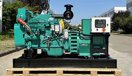 80KW Cummins Marine Auxiliary Generator Exported to Maldives