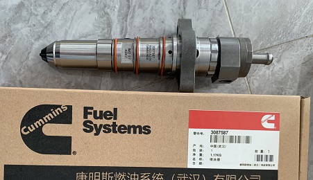 Injector for Cummins KTA19 Series Engine Delivered to France